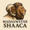 shaaca01