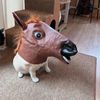 eldotkay