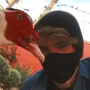 juliocesarmj001