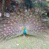 emre2891