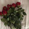 afnan946