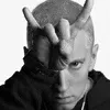 the_eminem_rap_go