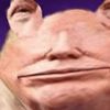 idgafidiot