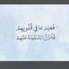 khdijahabeeb