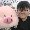 phong.mit.vl
