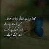 muhammadtaseen5