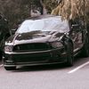 thev8_stang