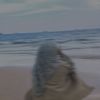 myrwrr_