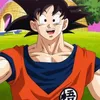 ossuoradosanko