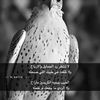 fasel152