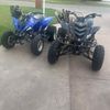 that_250r_an_660r_raptor