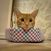 kot_b_lukoshke