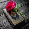 quran.xwen