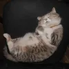 tran_tn