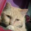 azie.mansor5