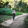 alf_agung