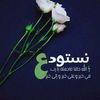 goo_744