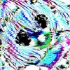 wjdbydf