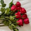 ang_el229