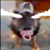 xbnksy