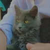 nadiawajid1231