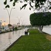 aly1293