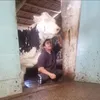 .neno3revelde