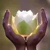 luomghuynh