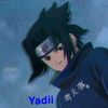 yadi2xx