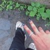 mlkwdd242756
