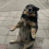 arnxvz