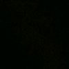 busiim.alabay