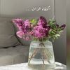 saa_raa77