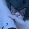 ._..hugo