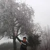 chomtong828