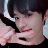 father._cat_minho.com