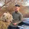 ari_gardi13