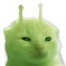 babayaga_oog