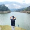 arbin.shrestha
