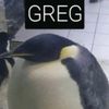gregthepenguin109