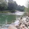 nguyentrungten
