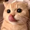mhiu9