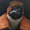 jackderliper