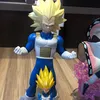vegeta_0070