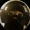 user301295121