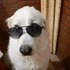 icyiceiceo