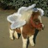 stinkerbell