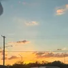 tu_renacuajito4