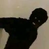 trace_hanshew