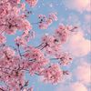 strawberrypenguin39